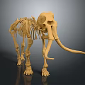 3D Printed Yellow Mammoth Skeleton Model For Medical Educational Device