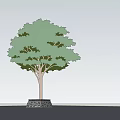 Square Tree Pit With Stone Base And Lush Green Tree Foliage 3d model