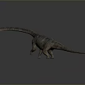 Realistic 3D Dinosaur Model With Long Neck Tail Gray Skin And Standing Pose
