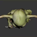 Green Goblin Character With Large Ears Holding Sword For Game And Movie