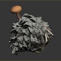 pine cone plant 3d model