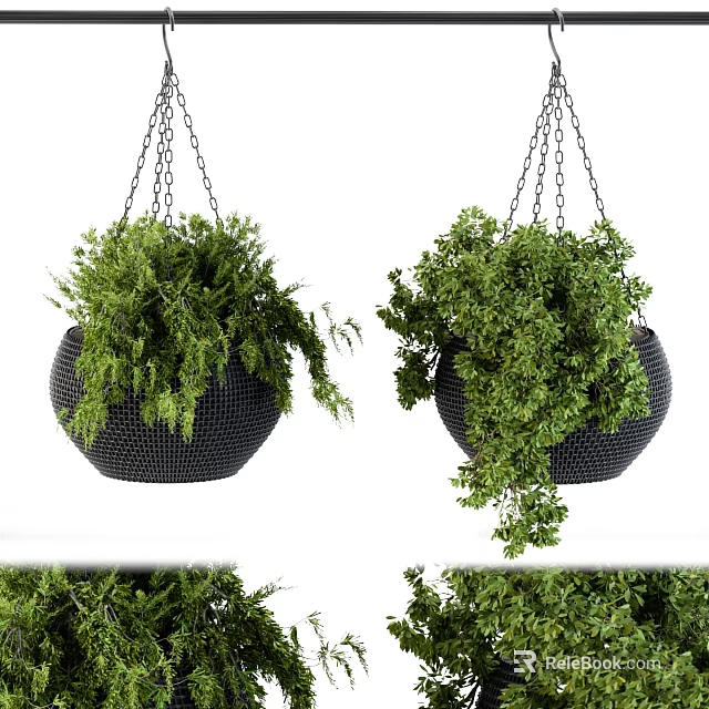 Stylish Black Hanging Planter Decor Set With Chains And Lush Green Plants 3d model 