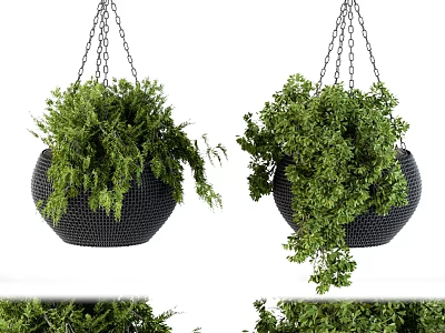 Stylish Black Hanging Planter Decor Set With Chains And Lush Green Plants 3d model
