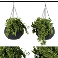 Stylish Black Hanging Planter Decor Set With Chains And Lush Green Plants