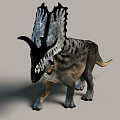 Prehistoric Reptile Triceratops Walking With Frilled Head Horned Features And Striped Skin