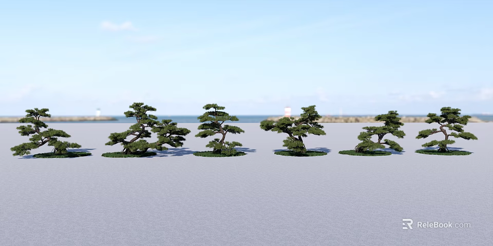 Outdoor Garden Landscape With Artistic Pine Trees In Open Green Space Design 3d model 