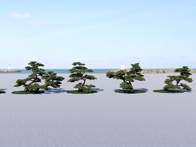 Outdoor Garden Landscape With Artistic Pine Trees In Open Green Space Design 3d model