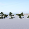 Outdoor Garden Landscape With Artistic Pine Trees In Open Green Space Design