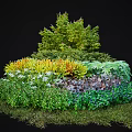 Lush Garden Shrubs with Colorful Foliage Stones and Green Ground Cover