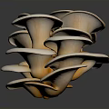 Fan Shaped Light Beige Mushrooms Clustered Together On Dark Surface With Shiny Reflection