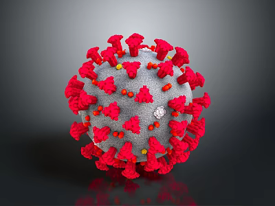 Human Organ and Hair Structure with Anatomical and Microscopic Details 3d model