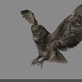 Gray Owl Spreading Wings While Flying Against Gray Background With Detailed Feathers 3d model