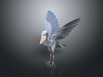 Flying Animal Pelican With Blue Spread Wings Standing On Dark Background 3d model
