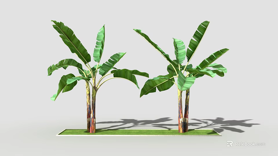 Banana Trees With Green Leaves And Red Brown Trunks Growing On Green Grass 3d model 