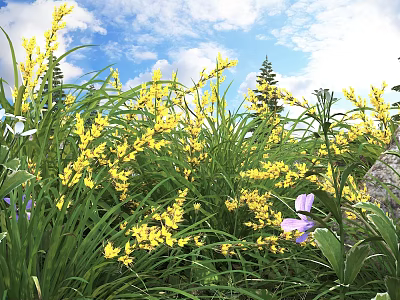 Vibrant Yellow And Purple Flowers Growing In Green Grass With Blue Sky And White Clouds 3d model