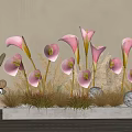 Elegant Floral Display With Pink Calla Lilies Rabbit Figurine Decorative Grass And Glowing Orbs