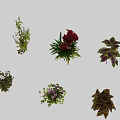 Garden Landscape Design With Colorful Plants Red Flowers And Green Foliage