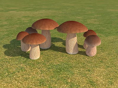 Modern Mushroom Mushroom Shiitake 3d model Modern Mushroom Mushroom Shiitake 3d model