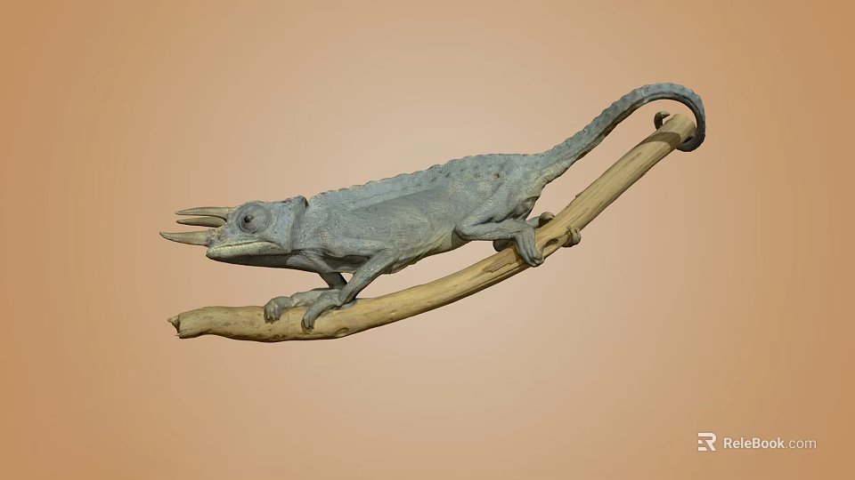 Grayish Blue Chameleon Perched On Light Brown Branch With Neutral Background 3d model 