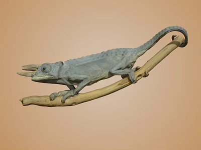 Grayish Blue Chameleon Perched On Light Brown Branch With Neutral Background 3d model