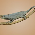 Grayish Blue Chameleon Perched On Light Brown Branch With Neutral Background