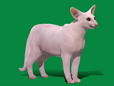 Pink Cat Standing Pose on Green Background with Large Ears and Bright Eyes 3d model
