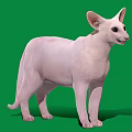 Pink Cat Standing Pose on Green Background with Large Ears and Bright Eyes