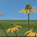 Beautiful Yellow Flowers Growing On Circular Grass Lawn With Stone Tile Ground