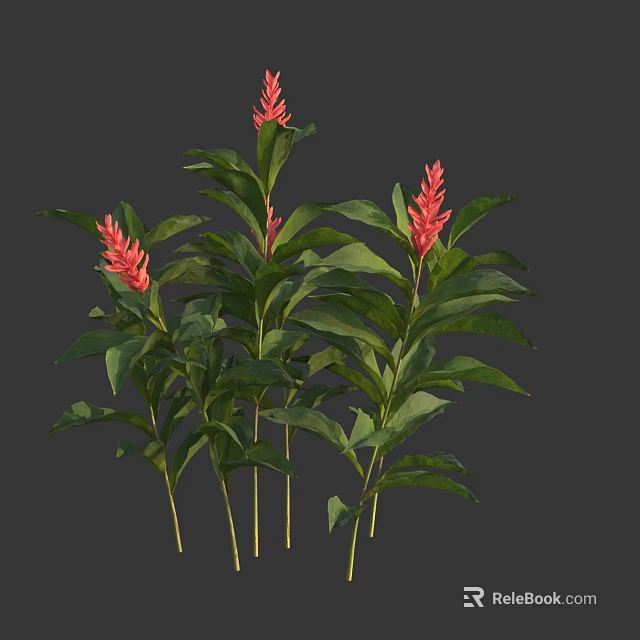 Vibrant Red Blooms and Lush Green Foliage in Fresh Floral Plant 3d model 