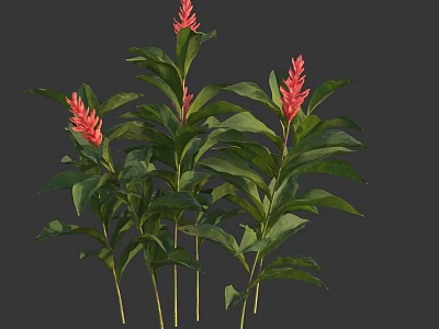 Vibrant Red Blooms and Lush Green Foliage in Fresh Floral Plant 3d model