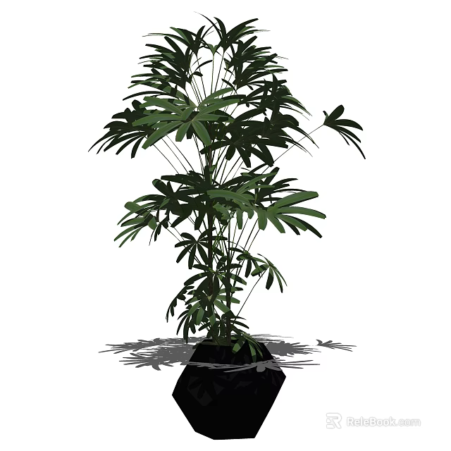 Lush Bonsai Plant with Green Palm Leaves in Black Pot for Indoor Decoration 3d model 