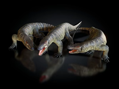 Three Detailed Lizard Models On Black Background With Shiny Reflections 3d model