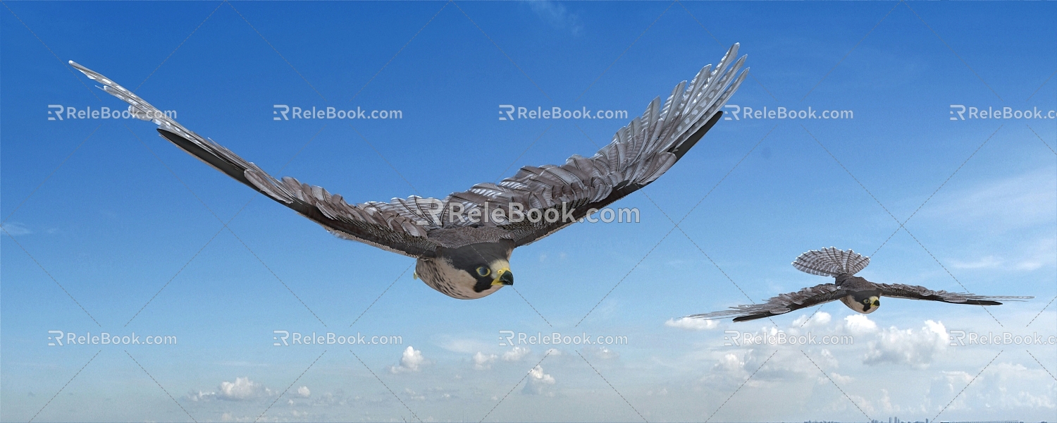 Modern Eagle 3d model