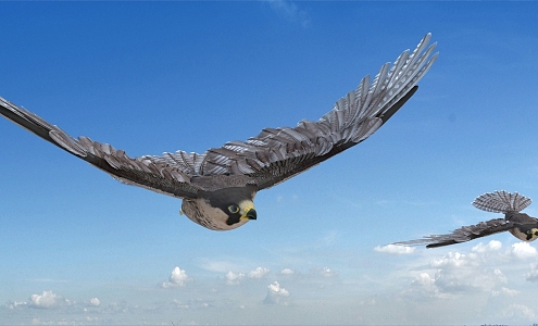 Modern Eagle 3d model