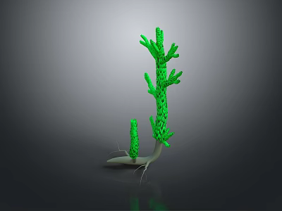 Green Aquatic Plant With Multiple Branches And White Roots On Gray Background 3d model