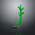 Green Aquatic Plant With Multiple Branches And White Roots On Gray Background