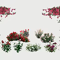 Colorful Floral Arch And Arrangements With Pink Red White Blooms And Climbing Plants