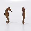 Two Brown Seahorse Sculptures Standing On White Background Surface 3d model