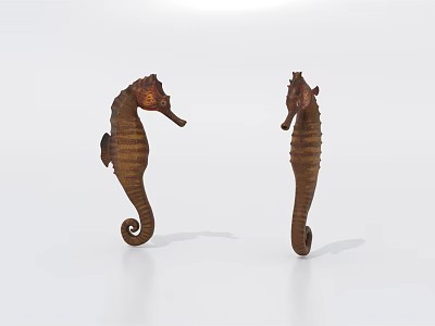 Modern Hippocampus 3d model