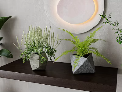 Geometric Potted Bonsai Plants on Dark Wooden Shelf with Gray Wall and Circular Lamp 3d model