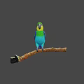 Colorful Parrot with Green Yellow Blue and Red Feathers Perched on a Branch