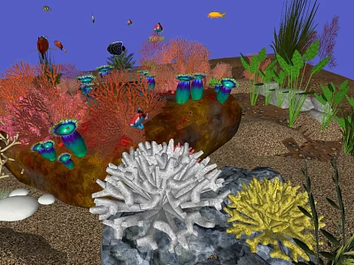 Colorful Underwater Landscape With Various Corals Fish Seaweed And Rocks On Sand 3d model