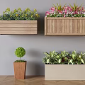 Beautiful Flowers and Green Plants in Hanging Wooden Planter Boxes and Potted Containers