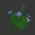 Decorative Garden Plant With Vibrant Purple Flowers And Lush Green Leaves For Outdoor Spaces