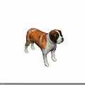 Realistic Saint Bernard Dog 3D Model With Brown And White Fur Standing Pose