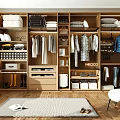 Modern Wooden Wardrobe Interior Design With Hanging Clothes Folded Items And Storage Drawers