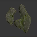 Two Natural Stone Pieces With Wood Like Texture And Green Veins On Rough Surface