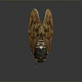 Detailed Cicada With Transparent Brown Textured Wings And Segmented Body On Dark Background