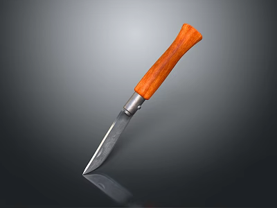 Weapon Knife With Wooden Handle Silver Metal Connection Sharp Blade Gray Background And Reflection 3d model