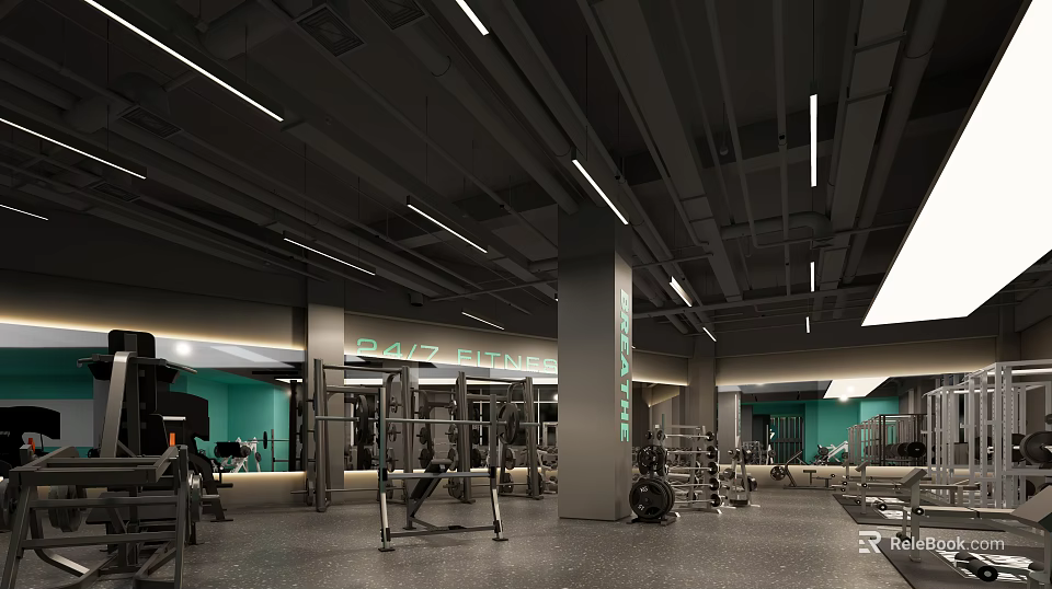 DAZ Fitness Modern Gym Interior With Workout Equipment Mirrors And Ceiling Lights 3d model 